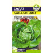 Салат «Зайка-Зазнайка»