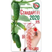 Огурец «Стандарт 2020»