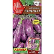 Баклажан «Ча-ча-ча»
