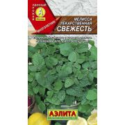 Мелисса «Лекарственная Свежесть»