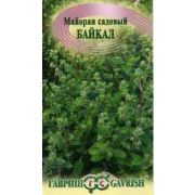 Майоран «Байкал»