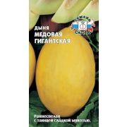 Дыня «Медовая» гигантская