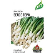 Лук на зелень «Белое перо»