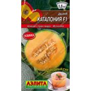 Дыня «Каталония»